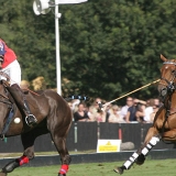 Polo, Commercial Wedding Photographers: Photoscience.co.uk